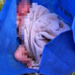 Baby Girl Found Alive in Bag Outside Subang Jaya Home
