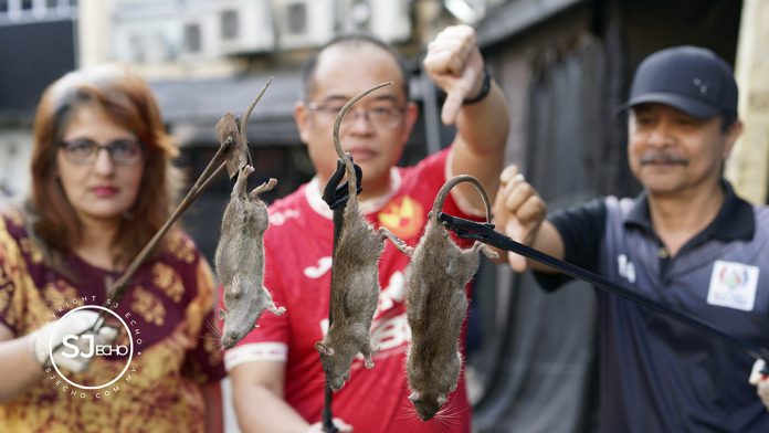 DSC04839-DxO_DeepPRIME 3 copy