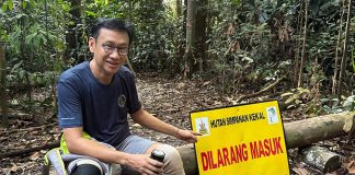 THE CONTROVERSY OF THE LANDS NEAR AYER HITAM FOREST RESERVE