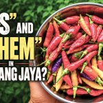 EDITORIAL: “Us” and “Them” in Subang Jaya?